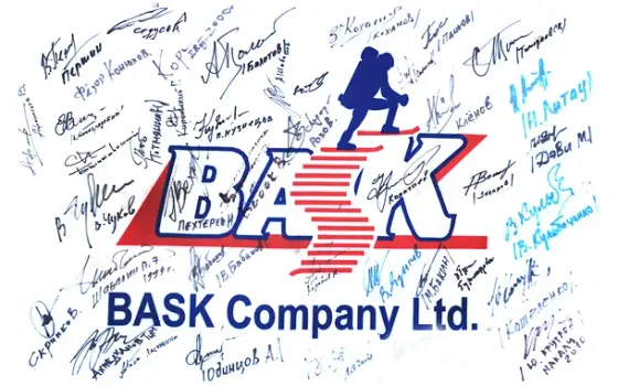 История БАСК